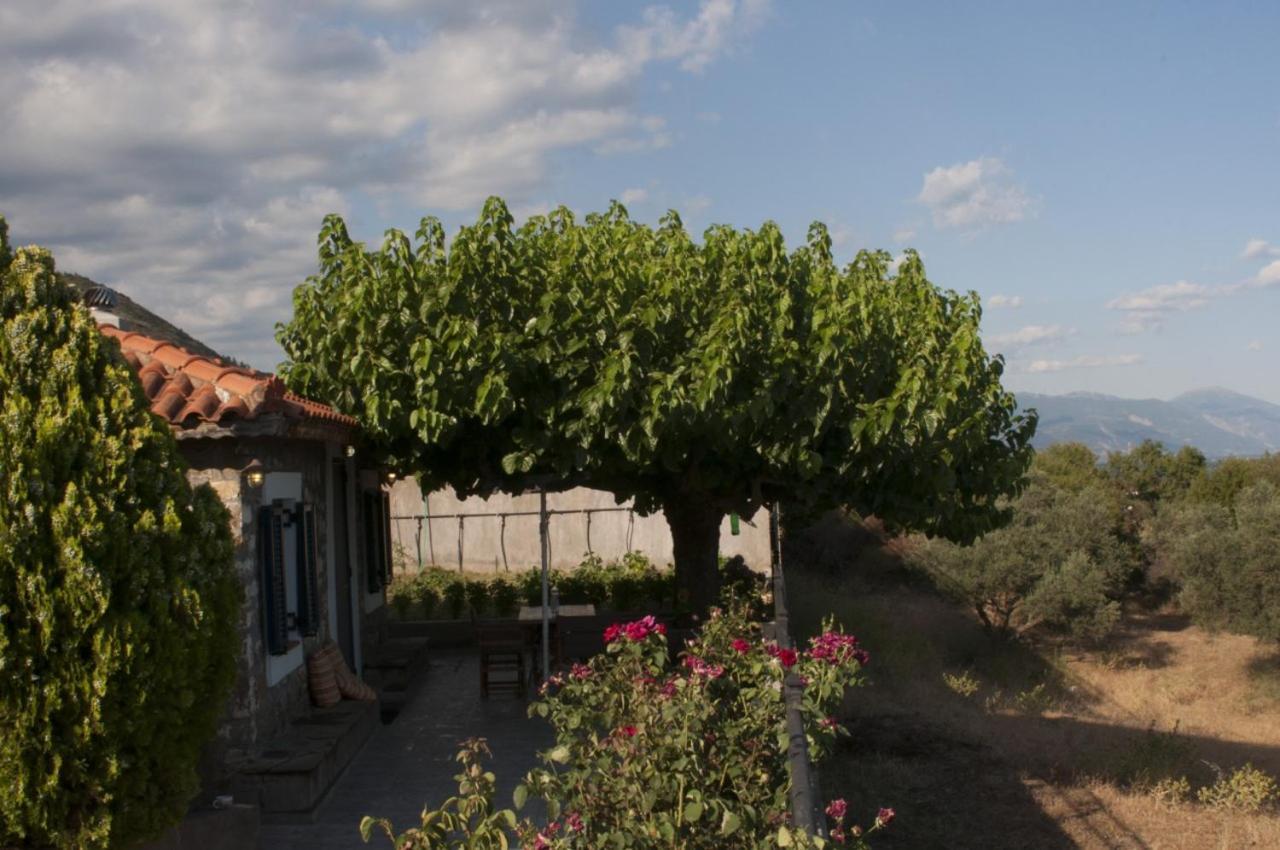 Villa Anna Nafpaktos Esterno foto